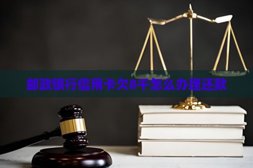 邮政银行信用卡欠8千怎么办理还款